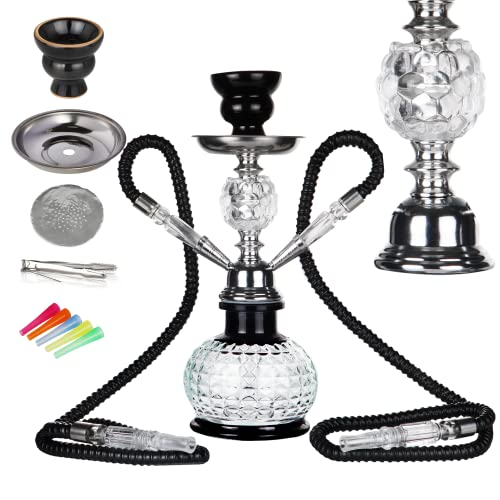 REANICE Kürbis Shisha Set 32cm Hookah 2 Schläuche Wasserpfeife Komplettset Glas Chicha inkl Kohlezange und Einmal Zubehör (Schwarz/transparent) von REANICE