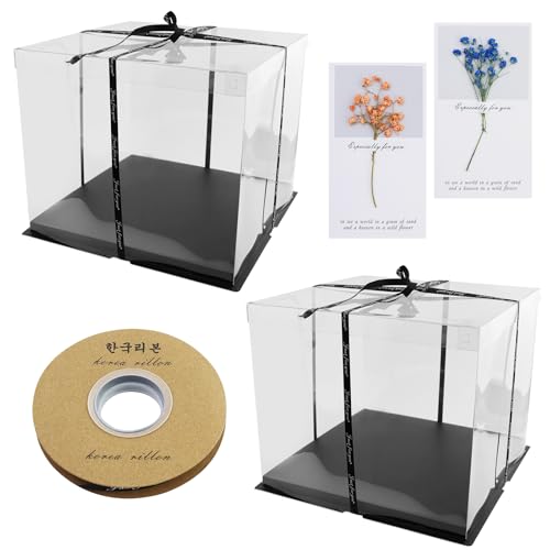 REBECCAGIBSON 2 Stück Schwarz Transparente Tortenbox, Wiederverwendbar Tortenbox mit Grußkarte,TortenschachtelTorte Geschenkbox Durchsichtig für Geburtstag Dessert REBECCAGIBSON 2 Stück Schwarz Transparente Tortenbox, Wiederverwendbar Tortenbox mit Grußkarte,TortenschachtelTorte Geschenkbox Durchsichtig für Geburtstag Dessert von REBECCAGIBSON