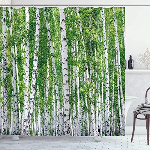 3D Duschvorhang 120x200 Birkenwald Duschvorhänge Antischimmel Wasserdicht Badevorhang Birkenwald Duschrollo für Badewanne Dusche Shower Curtains, 8 Duschvorhang Ringe 3D Duschvorhang 120x200 Birkenwald Duschvorhänge Antischimmel Wasserdicht Badevorhang Birkenwald Duschrollo für Badewanne Dusche Shower Curtains, 8 Duschvorhang Ringe von REBELA