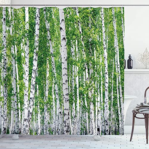 3D Duschvorhang 180x180 Birkenwald Duschvorhänge Antischimmel Wasserdicht Badevorhang Birkenwald Duschrollo für Badewanne Dusche Shower Curtains, 12 Duschvorhang Ringe von REBELA