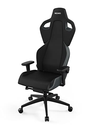 RECARO Exo Iron Grey | Ergonomischer, hochwertiger Gaming Stuhl | Mit stufenloser Einstellung über Handräder | Made in Germany | Auch als Bürostuhl | TÜV Zertifiziert von RECARO