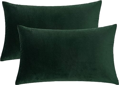 RECYCO 2er Set Kissenbezug Samt Sofakissen Weiche Einfarbig Dekorative Quadratische Wurf Kissenhüllen Set für Sofa Schlafzimmer Grün 50x30 cm von RECYCO