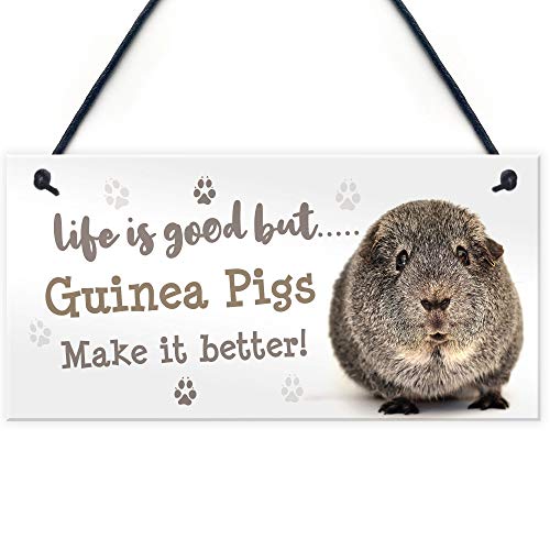 RED OCEAN Meerschweinchen-Schild, handgefertigt, Geschenk für Meerschweinchenbesitzer, süßes Haustiergeschenk von RED OCEAN