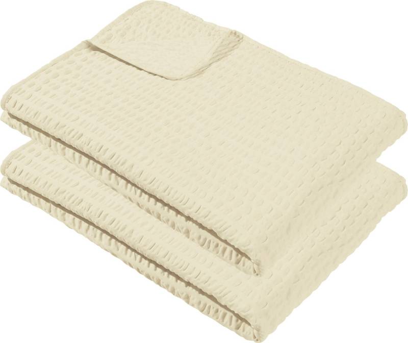 Wohndecke Sommerdecke "Detroit" 2er-Pack, REDBEST, Microfaser-Seersucker Uni Wohndecke Sommerdecke "Detroit" 2er-Pack, REDBEST, Microfaser-Seersucker Uni von REDBEST