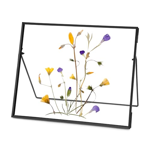 REDHUGO Glasrahmen für gepresste Blumen, handgefertigt, schwebender Glasbilderrahmen, Tischrahmen aus Messing, Fotorahmen für DIY-Projekte mit getrockneten Blumen und Pflanzenspezimen, rechteckig REDHUGO Glasrahmen für gepresste Blumen, handgefertigt, schwebender Glasbilderrahmen, Tischrahmen aus Messing, Fotorahmen für DIY-Projekte mit getrockneten Blumen und Pflanzenspezimen, rechteckig von REDHUGO