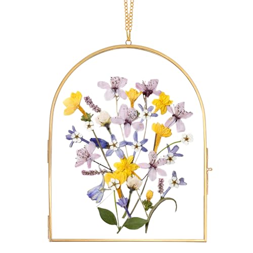 REDHUGO Handgefertigter bogenförmiger Glasrahmen für gepresste Blumen von REDHUGO