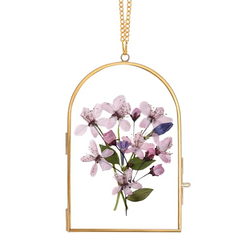 REDHUGO Handgefertigter bogenförmiger Glasrahmen für gepresste Blumen von REDHUGO