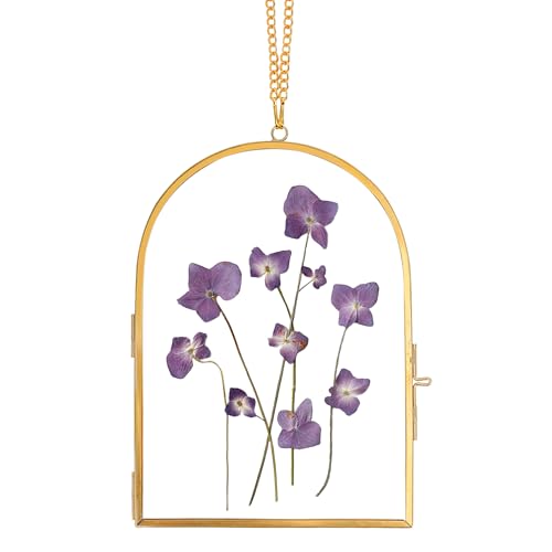 REDHUGO Handgefertigter bogenförmiger Glasrahmen für gepresste Blumen von REDHUGO
