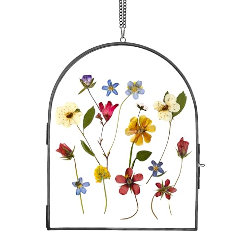 REDHUGO Handgefertigter bogenförmiger Glasrahmen für gepresste Blumen von REDHUGO