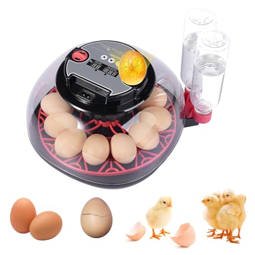 Brutautomat Vollautomatisch für 12 Eier Hühner Inkubator Intelligenter Brutmaschine mit Automatischer Eierwender, Temperaturkontrolle und Feuchtigkeitsdisplay, Eierdurchleuchter und Wasserversorgung Brutautomat Vollautomatisch für 12 Eier Hühner Inkubator Intelligenter Brutmaschine mit Automatischer Eierwender, Temperaturkontrolle und Feuchtigkeitsdisplay, Eierdurchleuchter und Wasserversorgung von REDKNOT