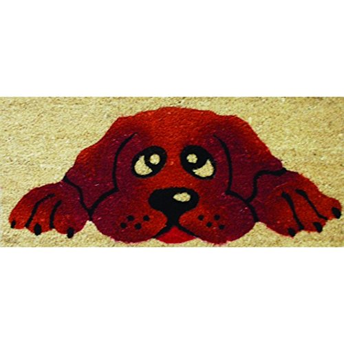 REDS Fußmatte, Mehrfarbig, 23 x 53 cm von REDS