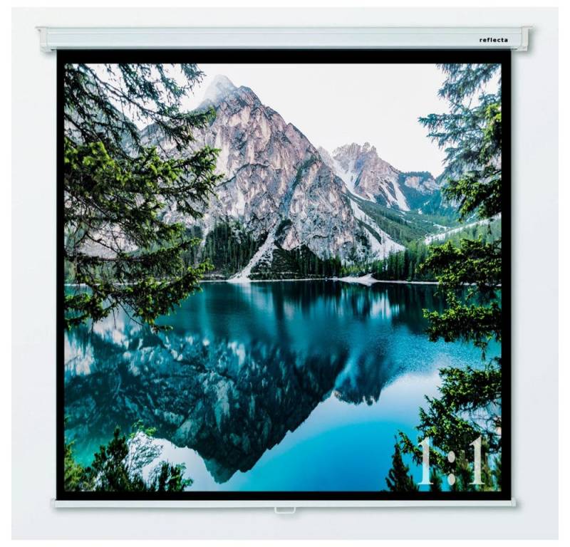 REFLECTA Fenster Reflecta Crystal-Line Rollo lux (300x300cm) Fensterdeko. von REFLECTA