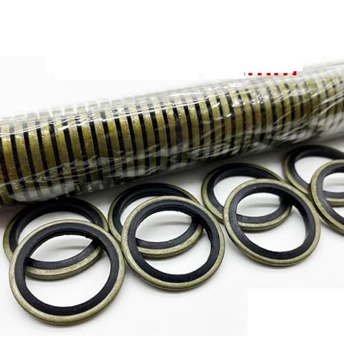 REHOSE Kombinierte Dichtung Skelettöldichtung Kohlenstoffstahl Nitril JB982-77 Hochdruck-Ölrohrdichtung Hochdruckdichtring 5/6/8-60G(12mm (20Pcs)) von REHOSE