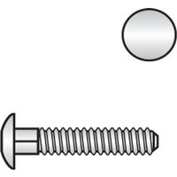 Reidl DIN 603 Flachrundschr. Vierkantansatz M 10 x 160 Gewinde bis Vierkant A2 blank, ohne Mutter von REIDL