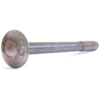 Reidl DIN 603 Flachrundschr. Vierkantansatz M 20 x 280 4.6 blank, mit Mutter von REIDL