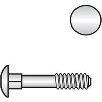 Reidl DIN 603 Flachrundschr. Vierkantansatz M 5 x 50 Messing blank, ohne Mutter Reidl DIN 603 Flachrundschr. Vierkantansatz M 5 x 50 Messing blank, ohne Mutter von REIDL