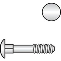 Reidl DIN 603 Flachrundschr. Vierkantansatz M 6 x 35 Messing blank, ohne Mutter von REIDL