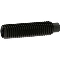 Reidl DIN 6332 Gewindestift M16x100, mit Innensechskant/Druckzapfen, 5.8 brüniert von REIDL