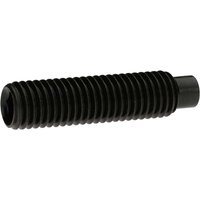 Reidl DIN 6332 Gewindestift M20x125, mit Innensechskant/Druckzapfen, 5.8 brüniert von REIDL