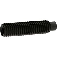 Reidl DIN 6332 Gewindestift M20x80, mit Innensechskant/Druckzapfen, 5.8 brüniert Reidl DIN 6332 Gewindestift M20x80, mit Innensechskant/Druckzapfen, 5.8 brüniert von REIDL