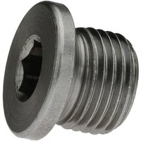 Reidl DIN 908 Verschlussschrauben mit Innensechskant u. Bund, zylindrisches Fein-Gewinde M 48 x 1,5 x 21, 5.8 blank von REIDL