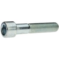 Reidl DIN 912 Zylinderschraube, Innensechskant M 10 x 170, 8.8 verzinkt von REIDL