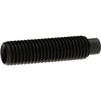 Reidl ISO 4028 Gewindestifte M24x70, mit Innensechskant/Zapfen, 45 H blank von REIDL