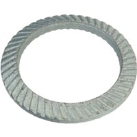Schnorr-Sperrzahnscheiben 27 x 39 x 2, Form vs, beids. gezahnt, Stahl mechanisch verzinkt - Reidl Schnorr-Sperrzahnscheiben 27 x 39 x 2, Form vs, beids. gezahnt, Stahl mechanisch verzinkt - Reidl von REIDL