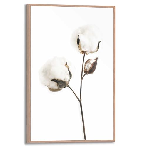 REINDERS Gerahmtes Bild Baumwollzweig Natur - Trockenblume - Textil - Slim Frame MDF 20 x 30 cm Schwarz-Weiß Wohnzimmer Black & White von REINDERS