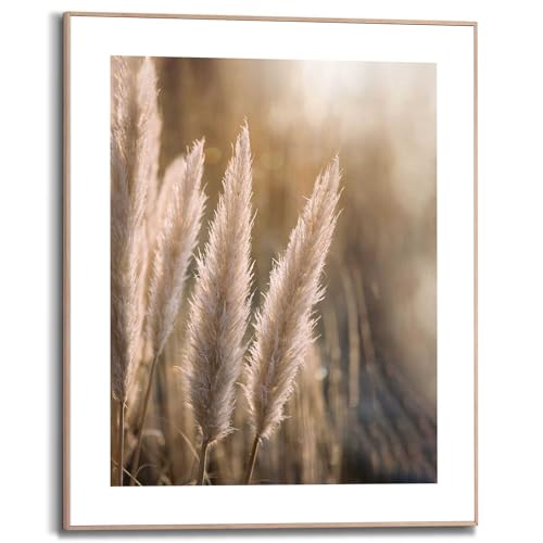 REINDERS Gerahmtes Bild Pampas Federn - Natur - Pflanzen - Slim Frame MDF 40 x 50 cm Khaki Home Office Blumen und Pflanzen von REINDERS