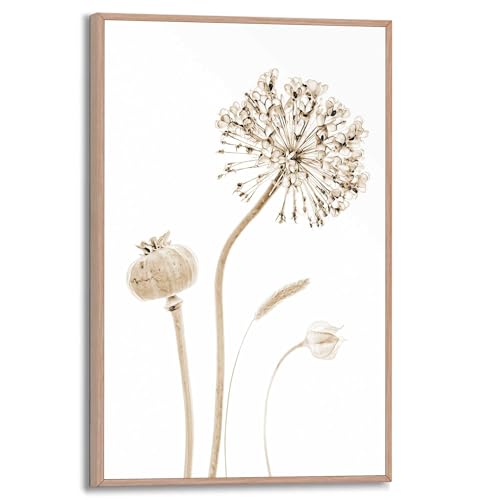 REINDERS Gerahmtes Bild Trockenblumen Klatschmohn - Allium - Pflanze - Slim Frame MDF 20 x 30 cm Khaki Wohnzimmer Botanic von REINDERS