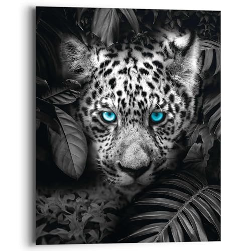 REINDERS Leopard Blaue Augen Wandbild - MDF - 40 x 50 cm - Schwarz von REINDERS