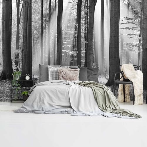 REINDERS Fototapete, Weißer Wald, Schlafzimmer, Bilder, Wanddeko, Room Decor, 130 gr. matt Vlies, Schwarz-Weiß, 260x384cm von REINDERS