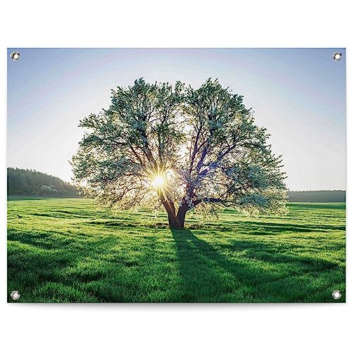 REINDERS Gartendeko Baum in der Morgensonne Wiese - Natur - Leinwand 80 x 60 cm Grün Garten Landschaften von REINDERS
