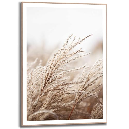 REINDERS Gerahmtes Bild, Gras, Wohnzimmer, Bilder, Wanddeko, Room Decor, MDF, Beige, 70x50cm REINDERS Gerahmtes Bild, Gras, Wohnzimmer, Bilder, Wanddeko, Room Decor, MDF, Beige, 70x50cm von REINDERS