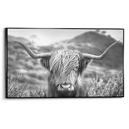 REINDERS Gerahmtes Bild Highlander Bulle Tiermotiv - Nahaufnahme - Hochlandrind Bild - Schattenfugenbild Holz 118 x 70 cm Schwarz-Weiß Wohnzimmer Tiere von REINDERS