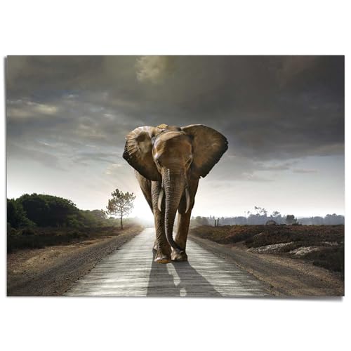 REINDERS Giant Poster XXL Elefantenkönig Tiermotiv - Elefant - Natur - Papier 140 x 100 cm Braun Wohnzimmer Tiere von REINDERS