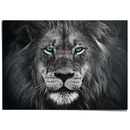 REINDERS Giant Poster XXL Löwe Porträt - Augen - Mächtig - Papier 140 x 100 cm Schwarz-Weiß Home Office Tiere von REINDERS