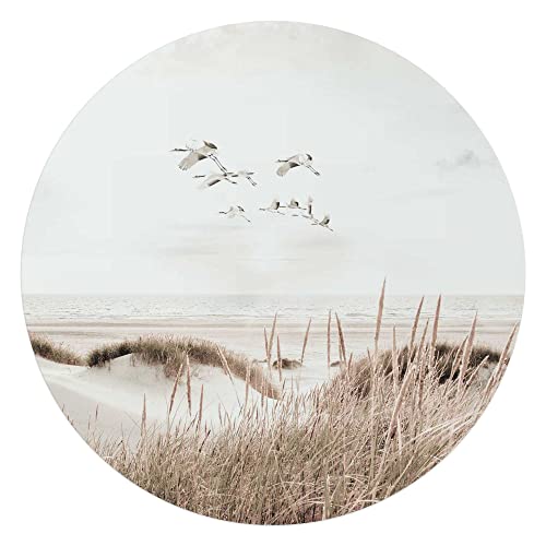 REINDERS Glasbild Kraniche Strand - Dünen - Freiheit - Gras - Meer - Round Art Glas 70 x 70 cm Beige Schlafzimmer Strand von REINDERS