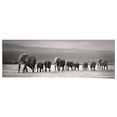 REINDERS Poster Elefantenherde auf Reise - Papier 158 x 53 cm Schwarz Schlafzimmer Tiere von REINDERS