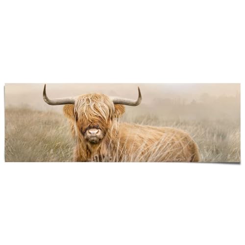 REINDERS Poster Hochlandrind Highlander - Natur - Bulle - Hörner - Nebel - Papier 158 x 53 cm Beige Man Cave Tiere von REINDERS