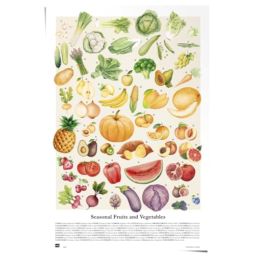 REINDERS Poster Obst und Gemüse Illustration - Vintage - Papier 61 x 91.5 cm Mehrfarbig Küche Essen und Trinken von REINDERS