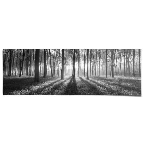 REINDERS Poster Sonnenaufgang im Wald Schwarz-Weiß - Papier 158 x 53 cm Schwarz Schlafzimmer Wald von REINDERS