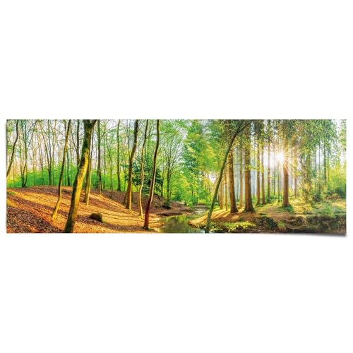 REINDERS Poster Sonniger Wald Natur - Bäume - Fluss - Blätter - Papier 158 x 53 cm Grün Wohnzimmer Wald von REINDERS