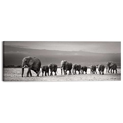 REINDERS Wandbild Elefantenparade Tiermotiv - Natur - Elefant - Deco Block MDF 118 x 40 cm Schwarz-Weiß Wohnzimmer Tiere von REINDERS