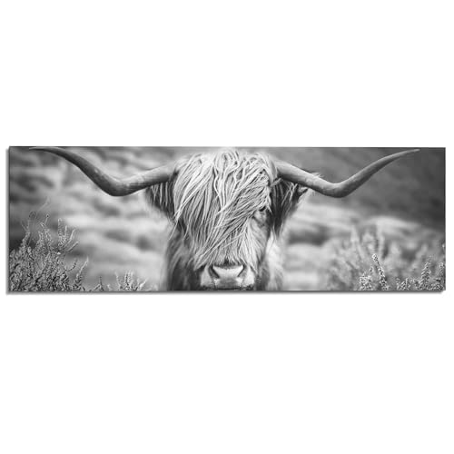 REINDERS Wandbild Highlander Bulle Tiermotiv - Nahaufnahme - Hochlandrind Bild - Deco Panel MDF 156 x 52 cm Schwarz-Weiß Wohnzimmer Tiere von REINDERS