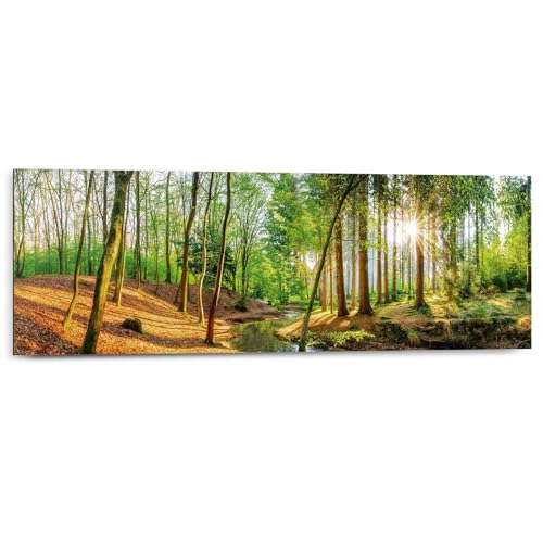 REINDERS Wandbild Sonniger Wald Natur - Bäume - Fluss - Blätter - Deco Panel Holz 90 x 30 cm Grün Wohnzimmer Wald von REINDERS