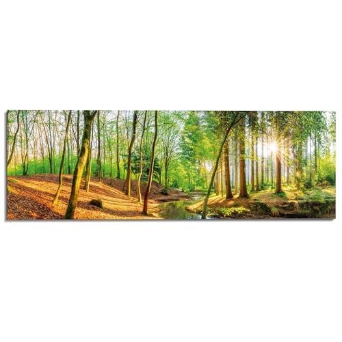 REINDERS Wandbild Sonniger Wald Natur - Bäume - Fluss - Blätter - Deco Panel MDF 156 x 52 cm Grün Wohnzimmer Beach Nature von REINDERS