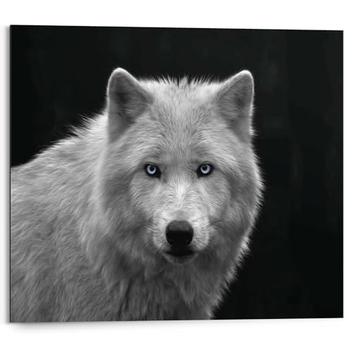 REINDERS Wandbild Weißer Wolf Tiermotiv - Raubtier - Wolfsbild - Deco Panel Holz 50 x 40 cm Schwarz-Weiß Schlafzimmer Tiere von REINDERS