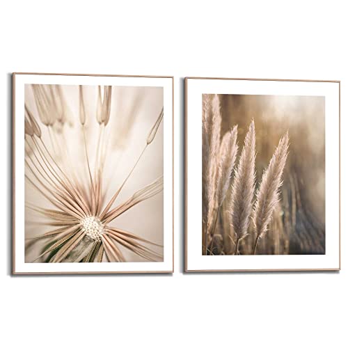 REINDERS Wandbilder Set Natur Botanisch - Pampas - Löwenzahn - Nahaufnahme - Slim Frame Holz 40 x 50 cm Khaki Home Office Blumen und Pflanzen von REINDERS